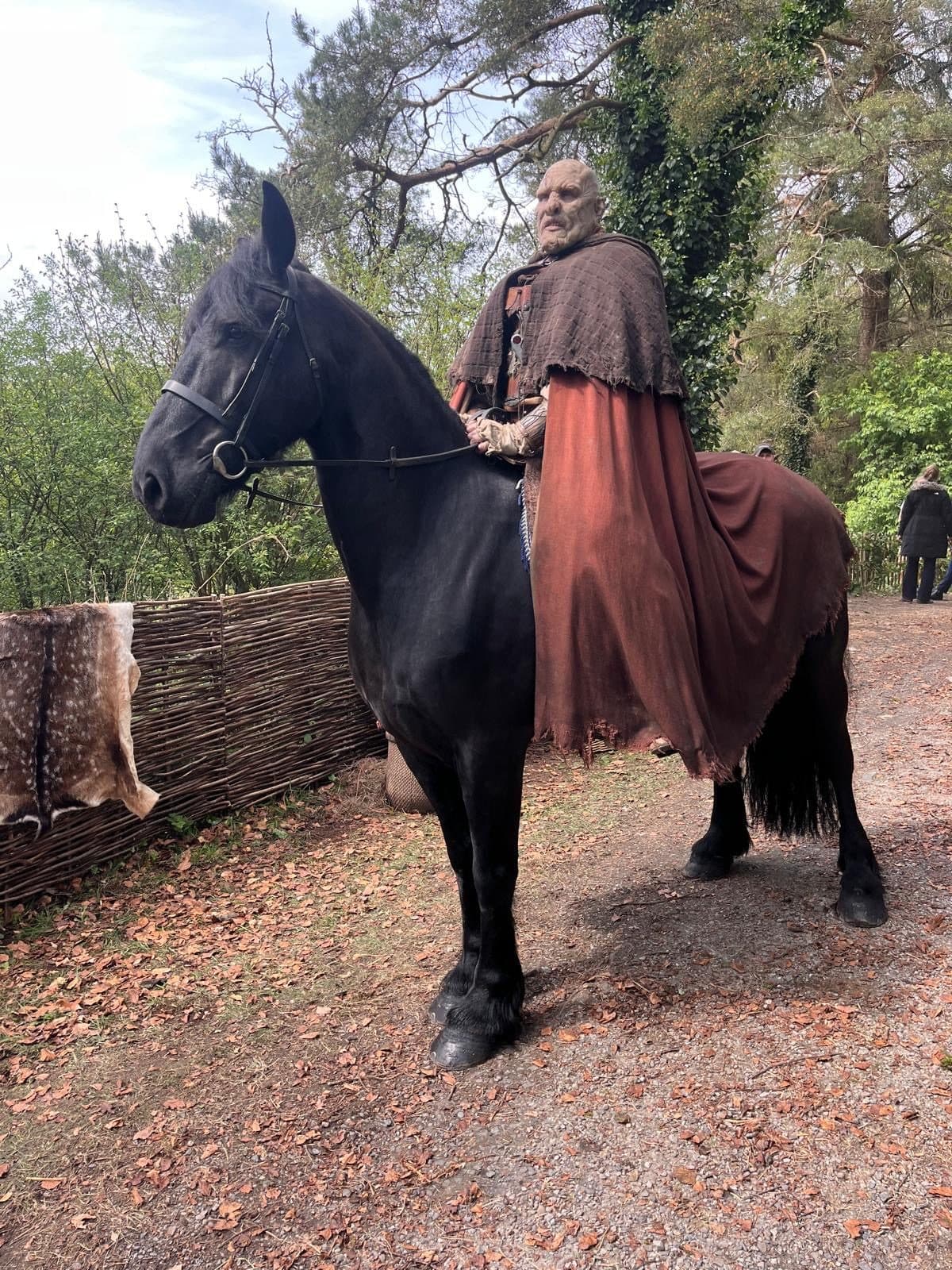 A cloaked rider on a black horse on a woodland path