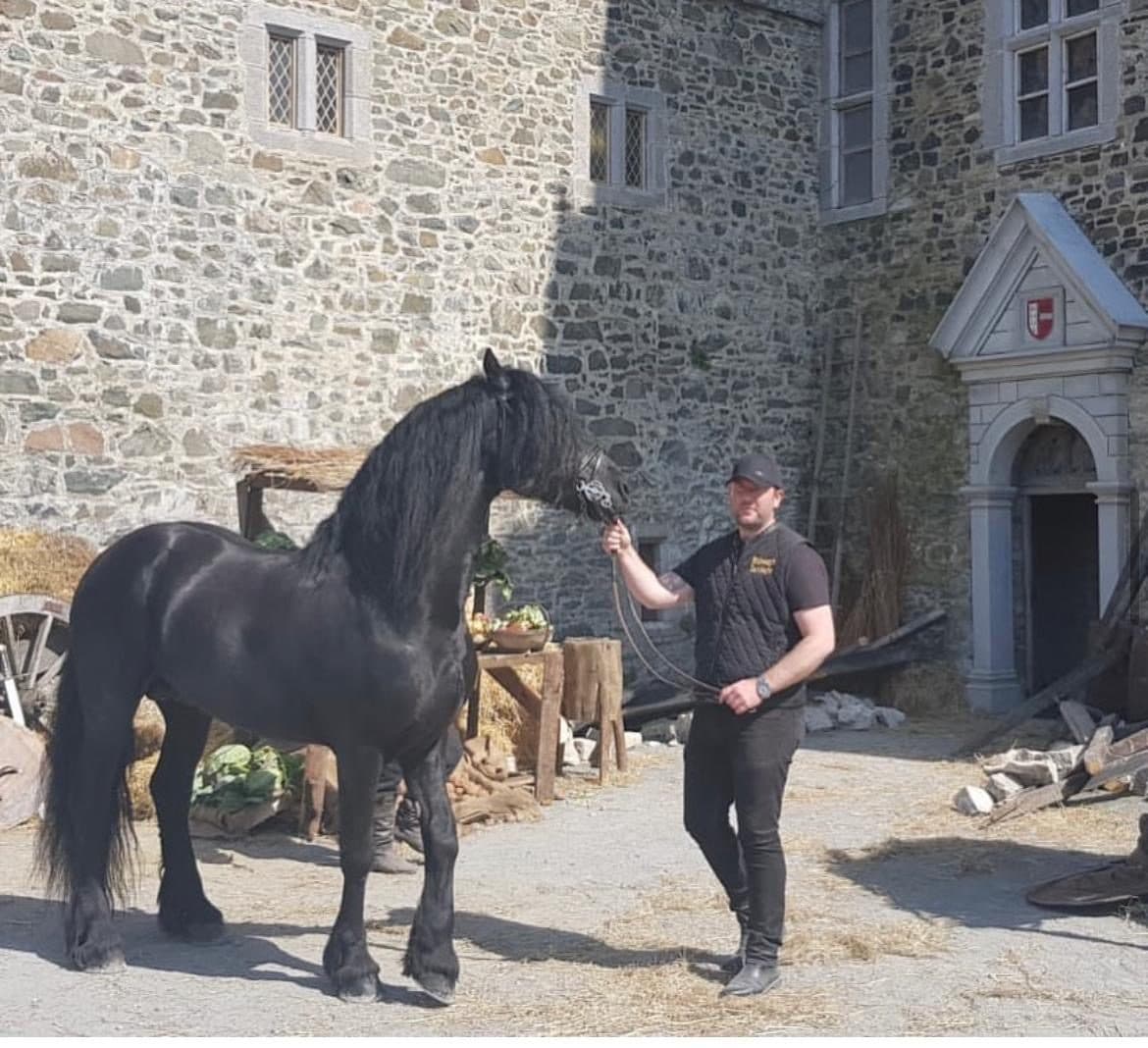 A black Friesian held by its handler on a castle film set